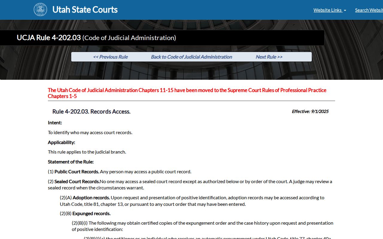 Morgan County court records public access rule